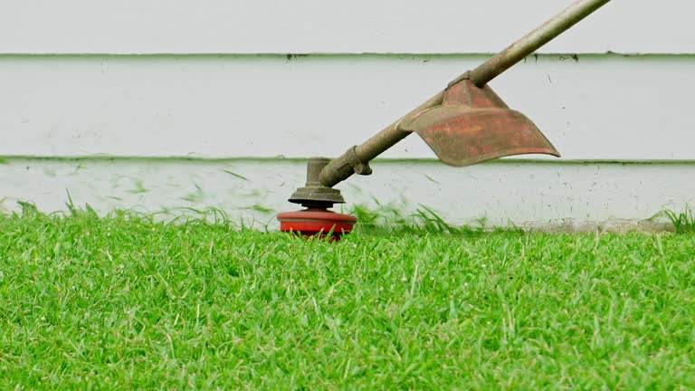 How Our Tree Care Process Works  in  Absecon, NJ
